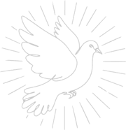 h2-filler-img-bird